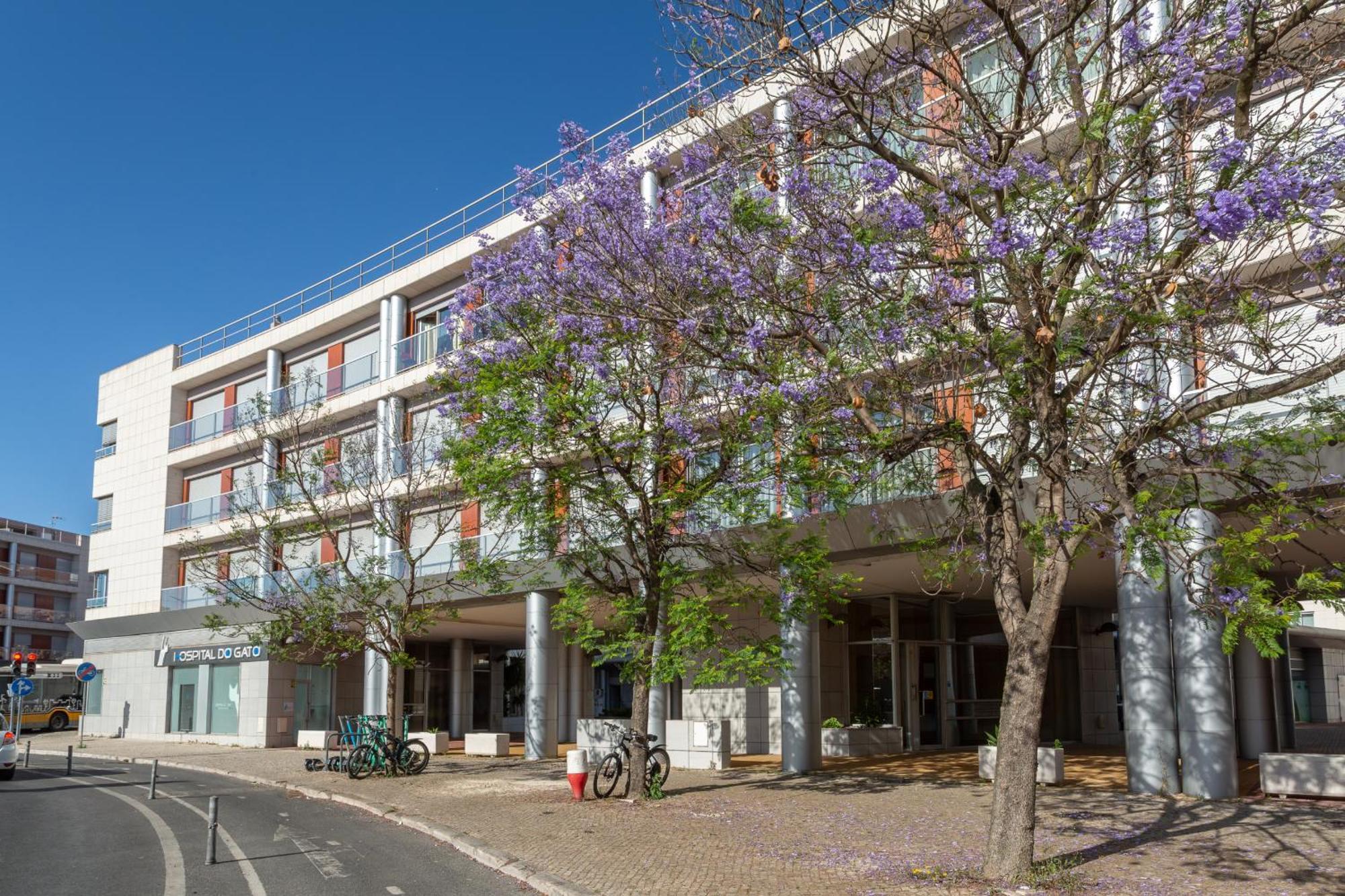 Beguest Premium Lisbon Suites Exterior foto